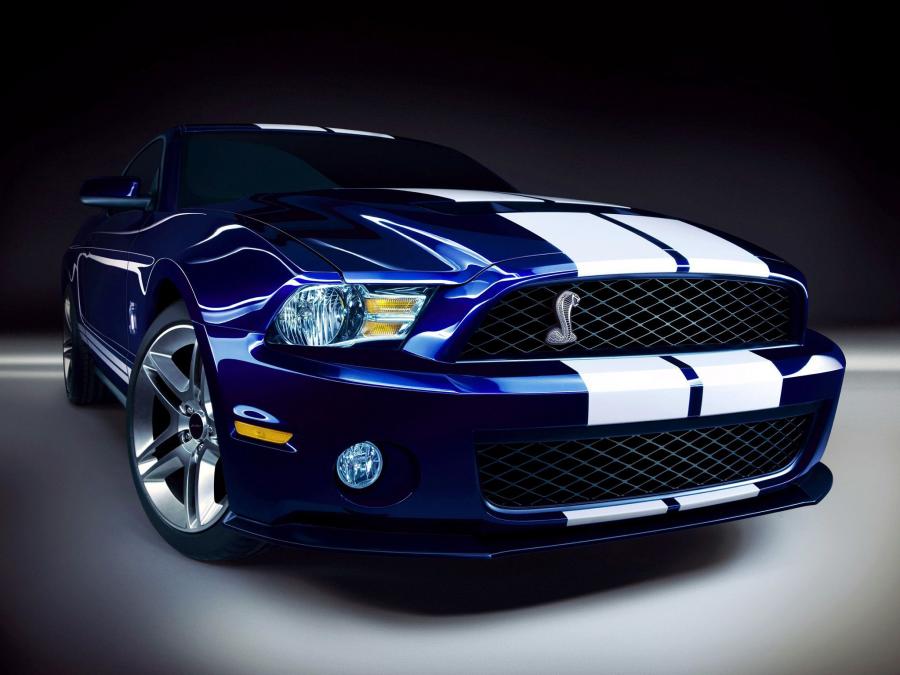  Shelby GT500 2009 года  (фото 4 из 21)